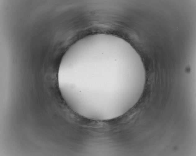 X0000091341109200709071212