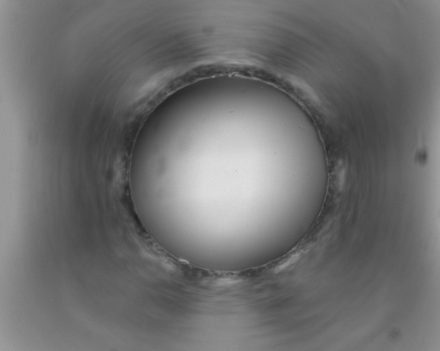 X0000091341110200709071212