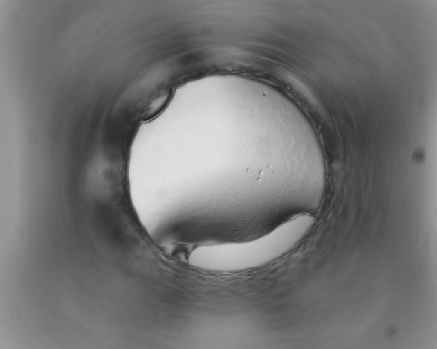 X0000091341111200709071212