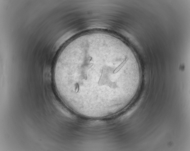 X0000091341113200709071212