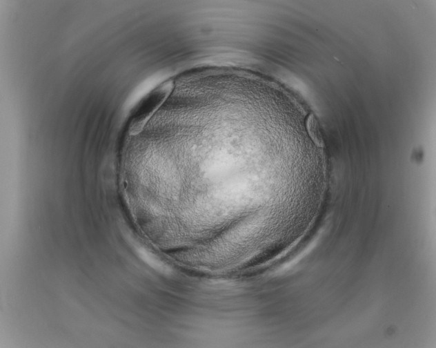 X0000091341114200709071212