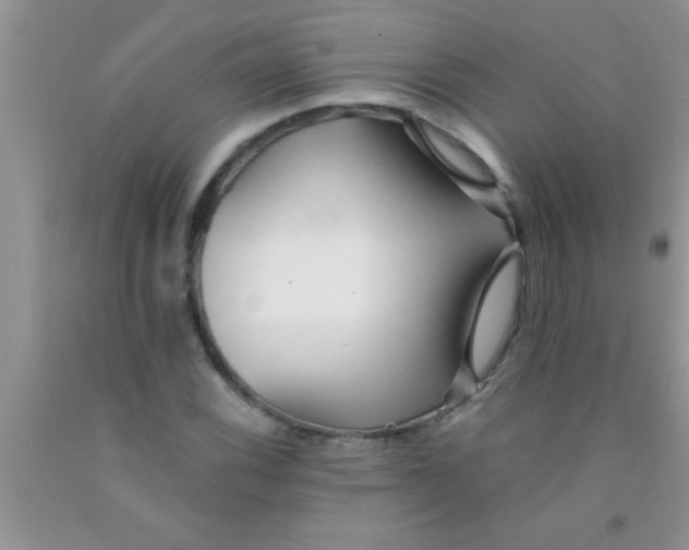 X0000091341116200709071212