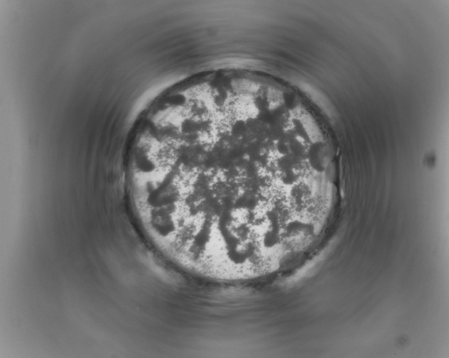 X0000091341117200709071212