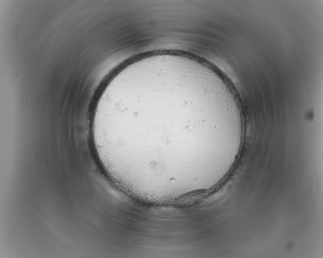 X0000091341119200709071212