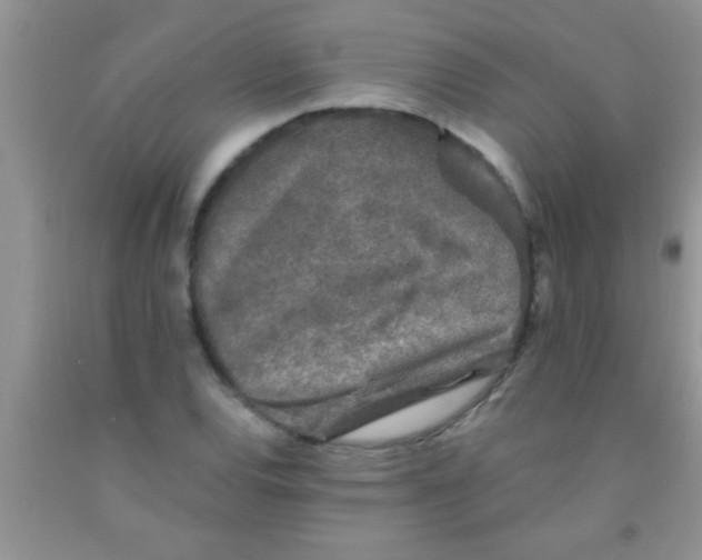 X0000091341120200709071212