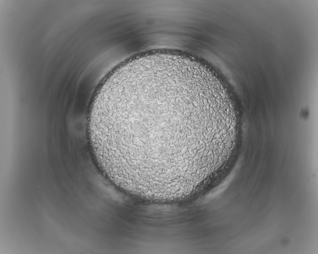 X0000091341121200709071212