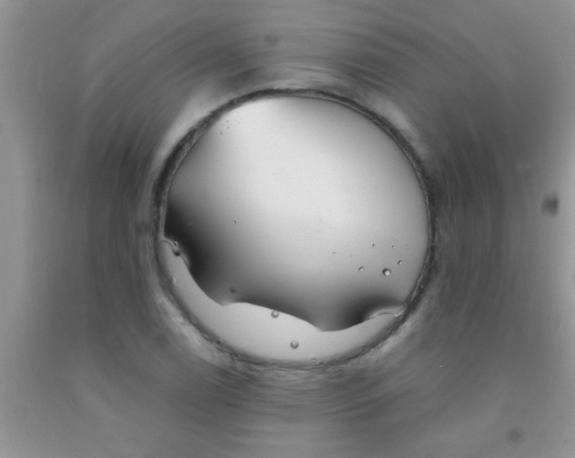 X0000091341122200709071212