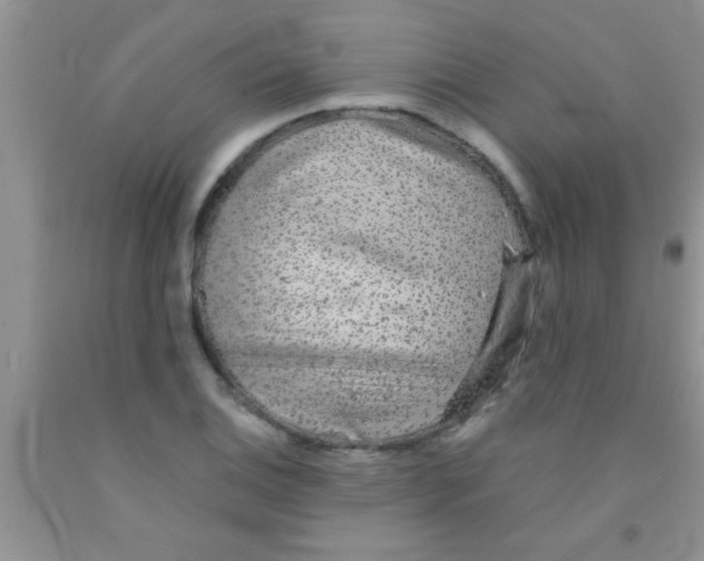 X0000091341124200709071212