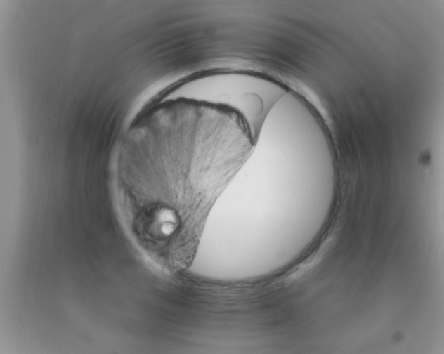 X0000091341125200709071212