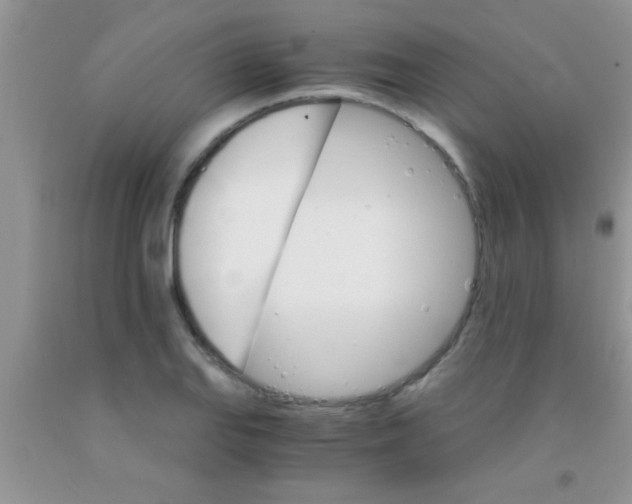 X0000091341127200709071213