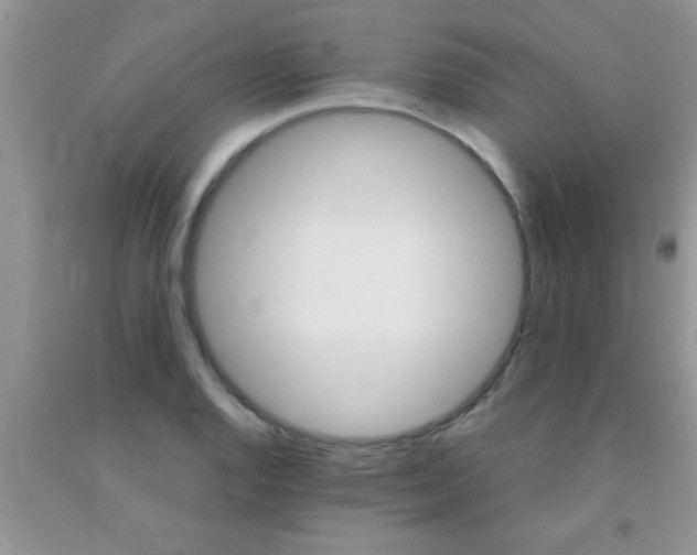 X0000091341128200709071213