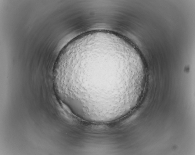 X0000091341129200709071213