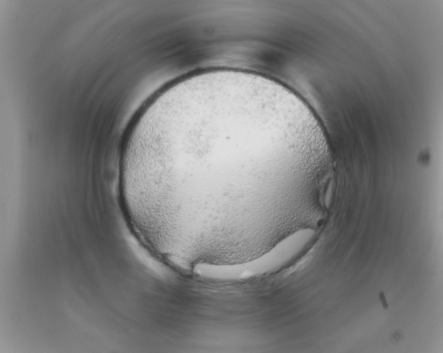 X0000091341131200709071213