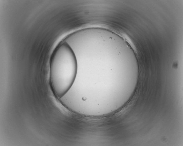 X0000091341132200709071213