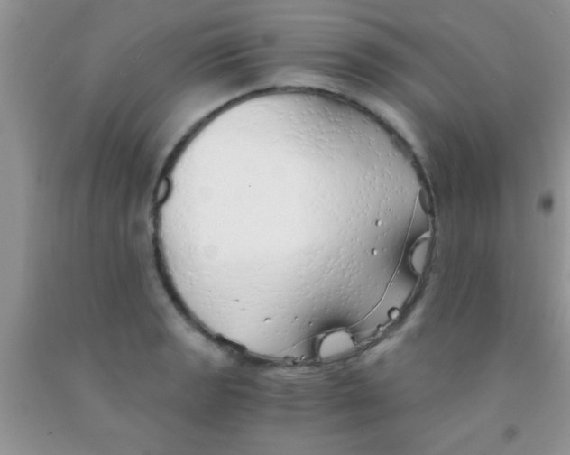 X0000091341133200709071213