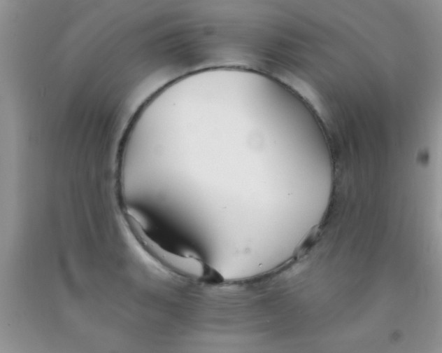 X0000091341135200709071213