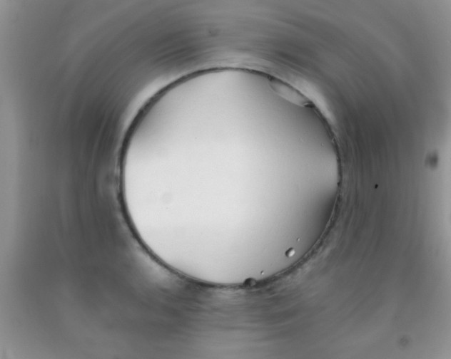 X0000091341136200709071213