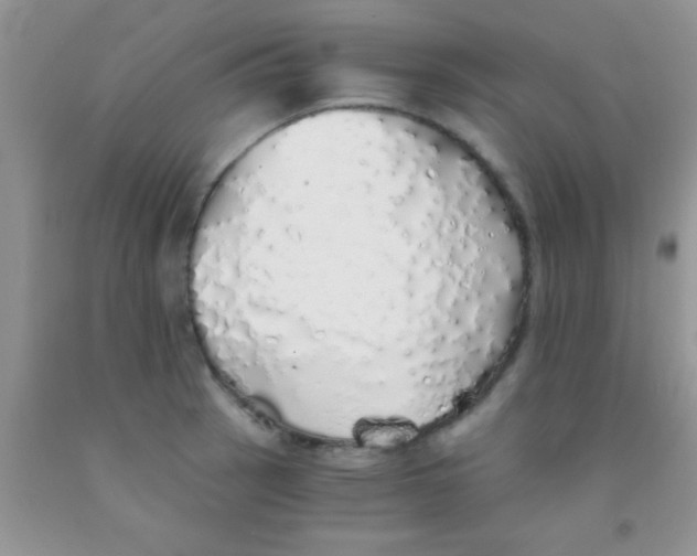 X0000091341137200709071213