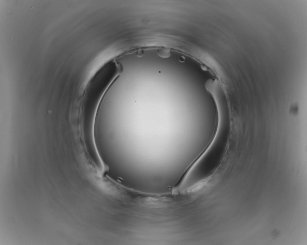 X0000091341138200709071213