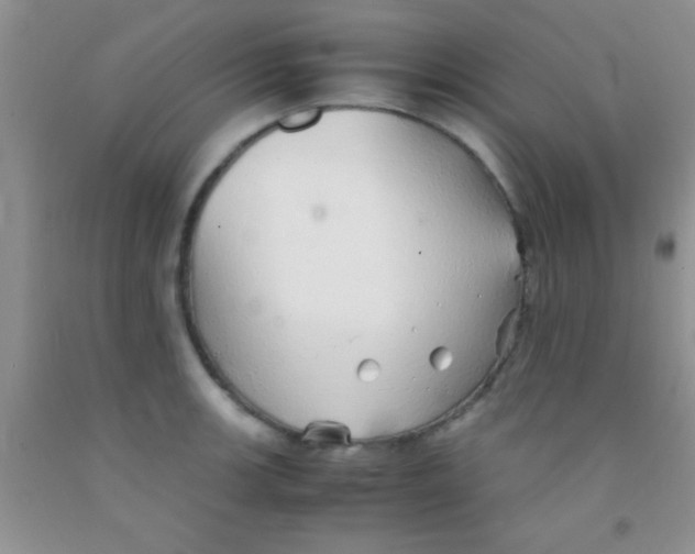 X0000091341139200709071213