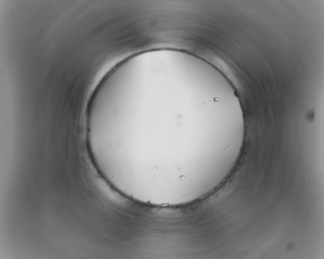 X0000091341140200709071213