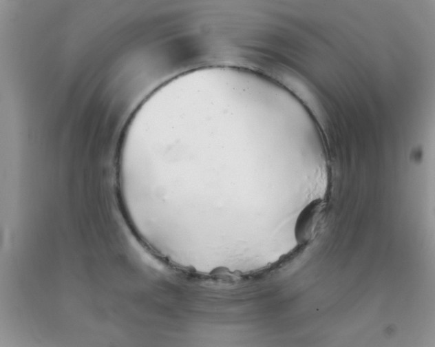 X0000091341141200709071213