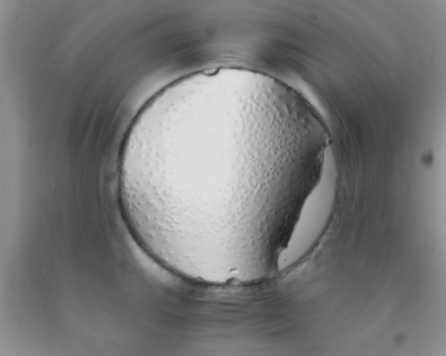 X0000091341143200709071213