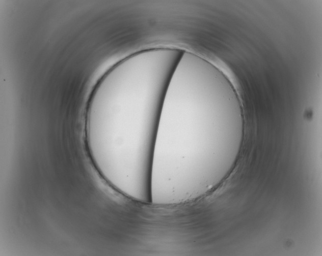 X0000091341144200709071213