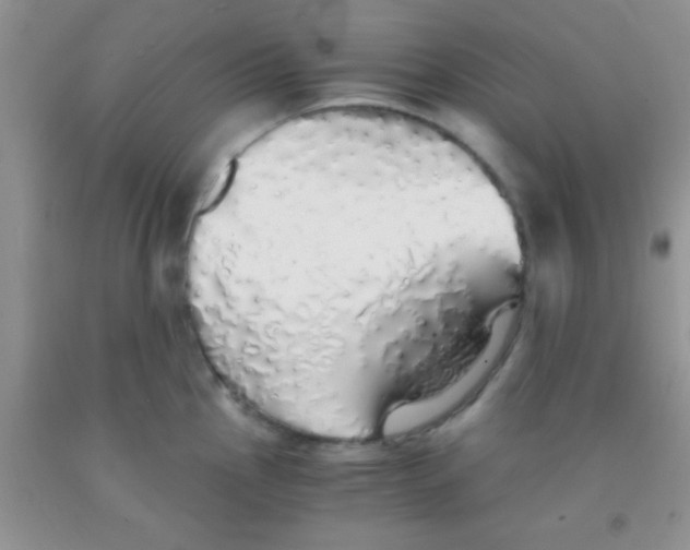 X0000091341145200709071213