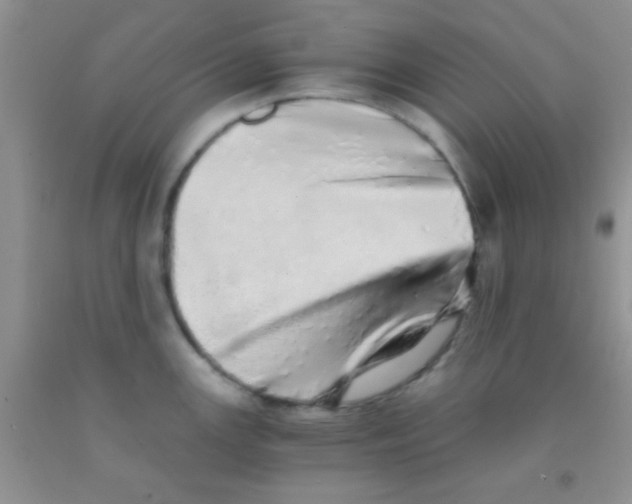 X0000091341147200709071213