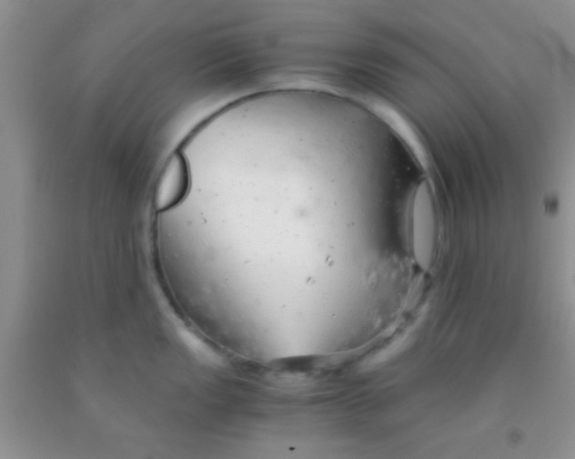 X0000091341149200709071213