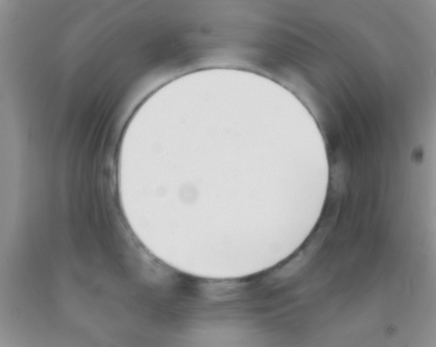 X0000091341150200709071213