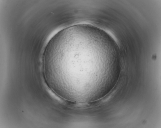 X0000091341151200709071213