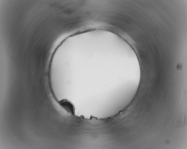 X0000091341152200709071213