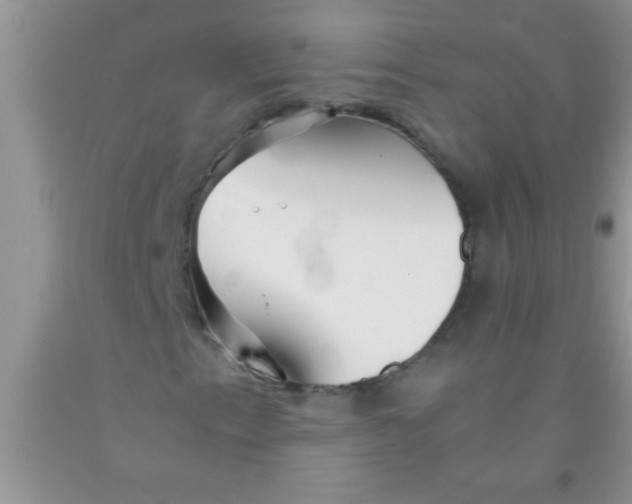 X0000091341153200709071212