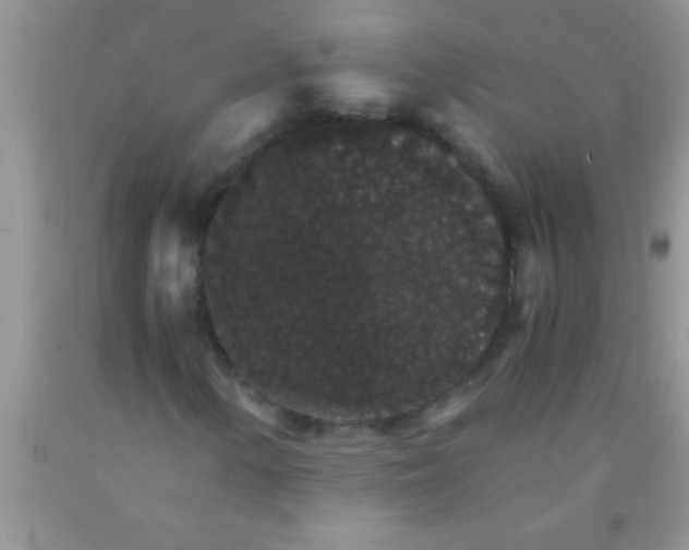 X0000091341154200709071212