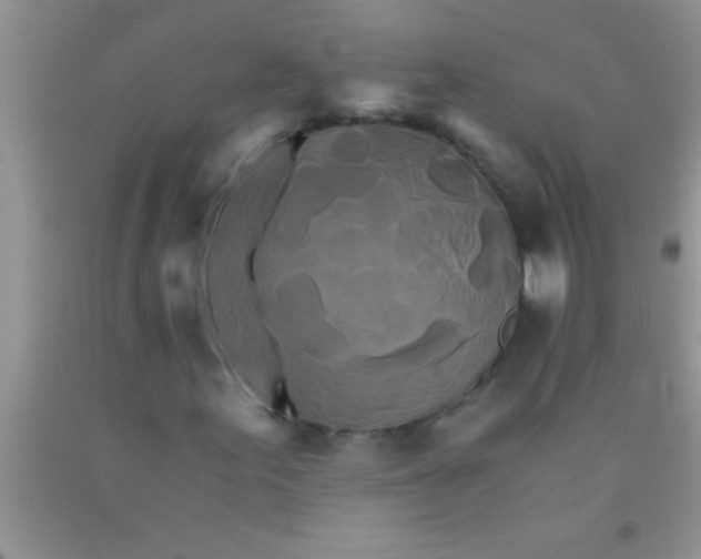 X0000091341155200709071212