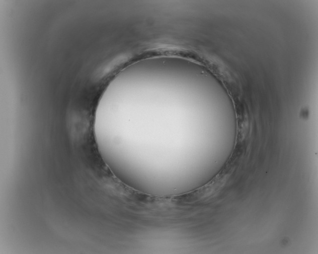 X0000091341157200709071212