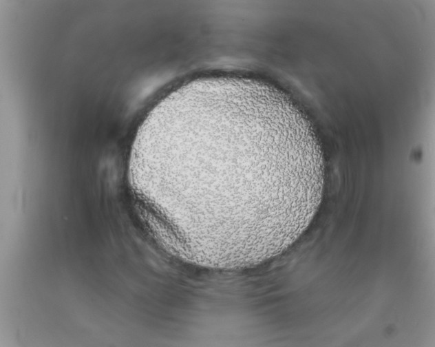 X0000091341158200709071212