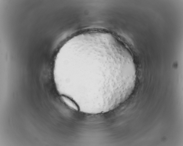 X0000091341159200709071212