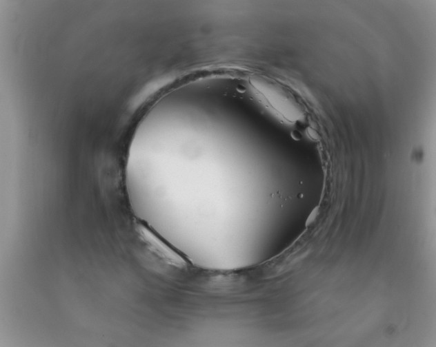 X0000091341160200709071212