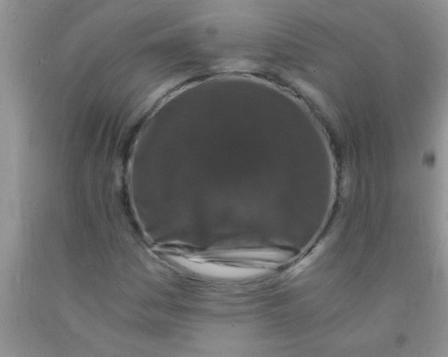 X0000091341161200709071212