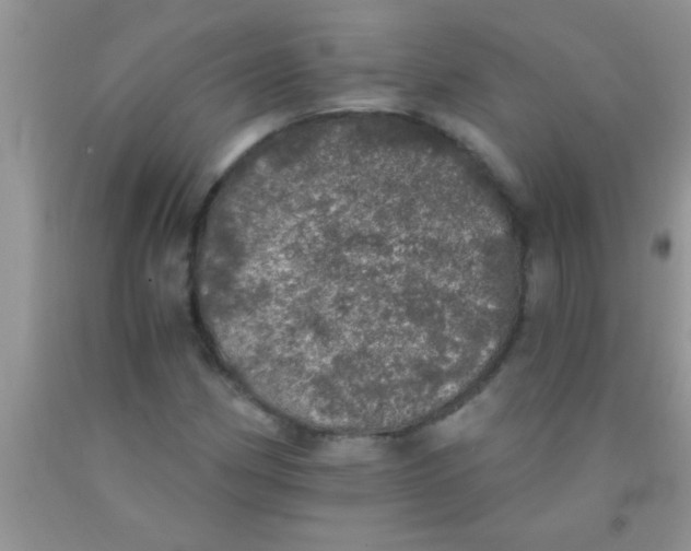 X0000091341162200709071212