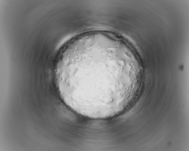 X0000091341163200709071212