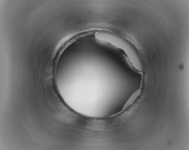 X0000091341164200709071212