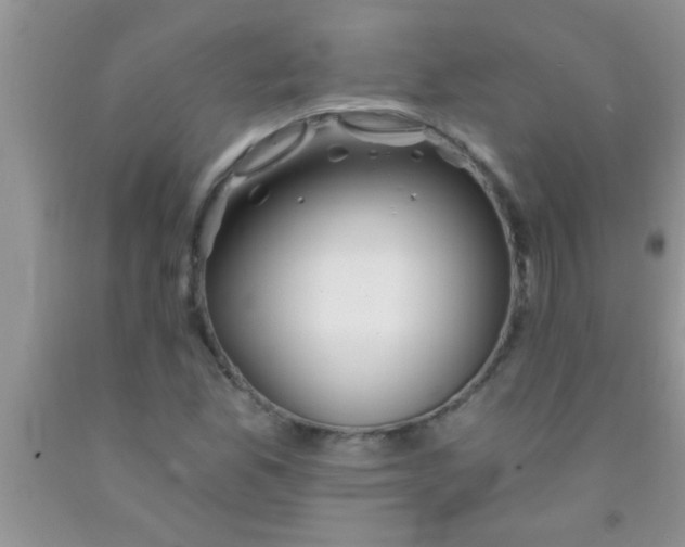 X0000091341165200709071212