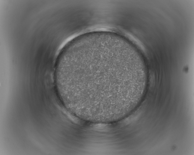 X0000091341166200709071212