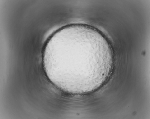 X0000091341167200709071212