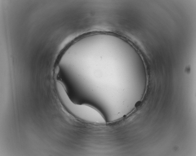 X0000091341168200709071212