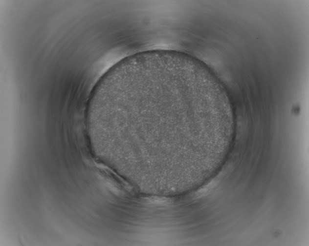 X0000091341170200709071212